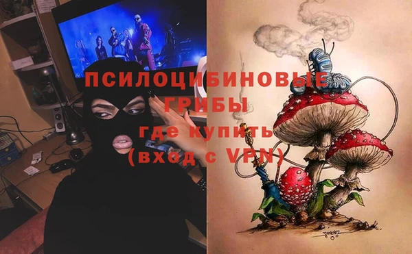 МДПВ Алексин