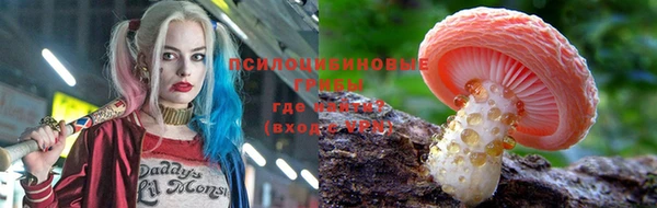 твердый Алзамай