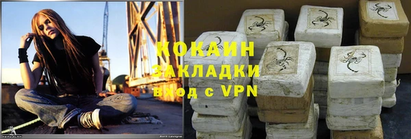 твердый Алзамай